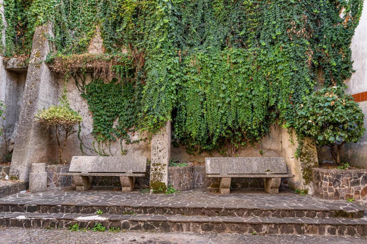 Piazza Laurino Apartments Basic Excursions Alto Cilento Cammino Giubilare Di Santelena Exteriér fotografie